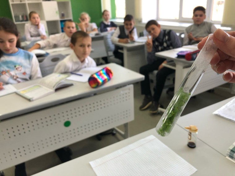 Урок биологии.